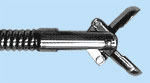 endo_linza_cisd12.jpg