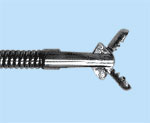 endo_linza_cisd13.jpg