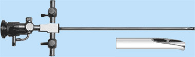endo_linza_cisd5.jpg