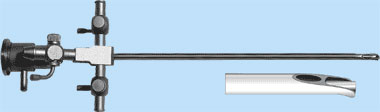 endo_linza_cisd6.jpg
