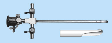endo_linza_cisd7.jpg