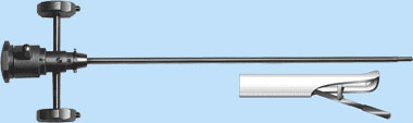endo_linza_cisd8.jpg