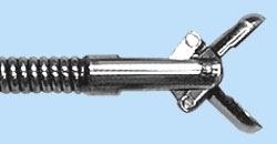 endo_linza_gis11.jpg