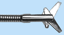 endo_linza_gis12.jpg