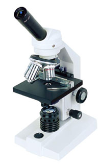 micro_102B.jpg