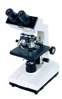 micro_103B.jpg