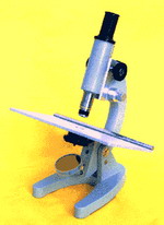vet_san_steik-m.jpg